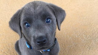 Независимо дали сте страстен последовател или просто сте се натъкнали