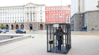 "Невидими животни" с протестна акция пред парламента