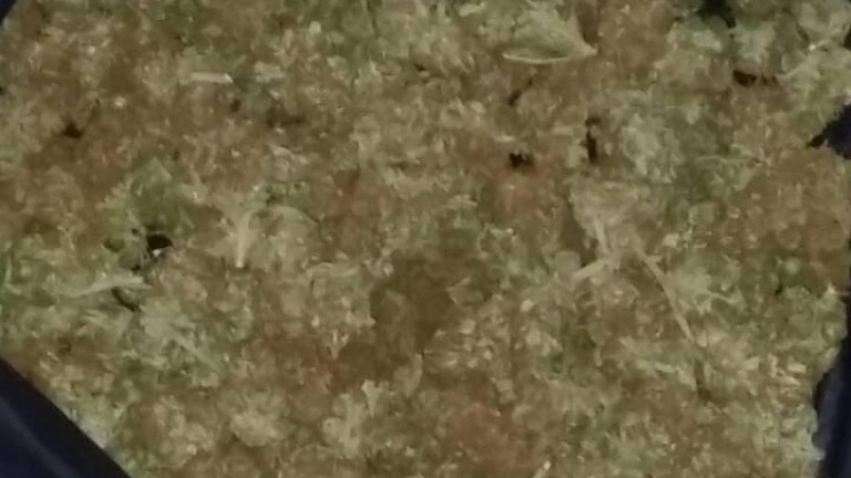 Изображение 319677