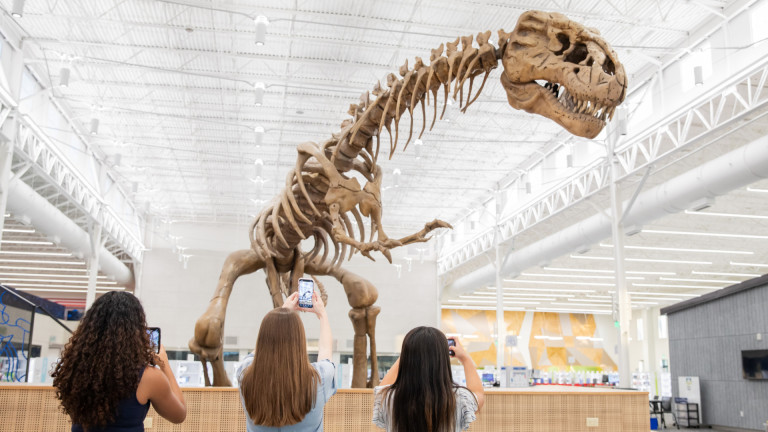 Изображение 740178