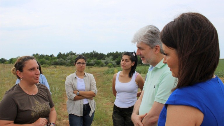 Изображение 430278