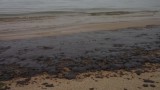 Още търсят кой изля мазут в морето край Варна