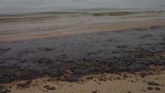 Още търсят кой изля мазут в морето край Варна