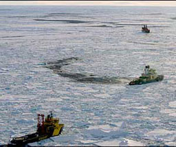 Несметни ли са петролните и газови залежи на Арктика?