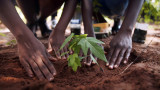  Адама Диеме и мъжът от Сенегал, който има мисия да засади пет милиона дървета