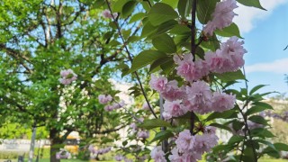 Днес превалявания ще има само на отделни места а в