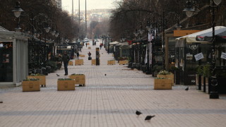 Паднали клони и откъртени огради заради силния вятър в София 