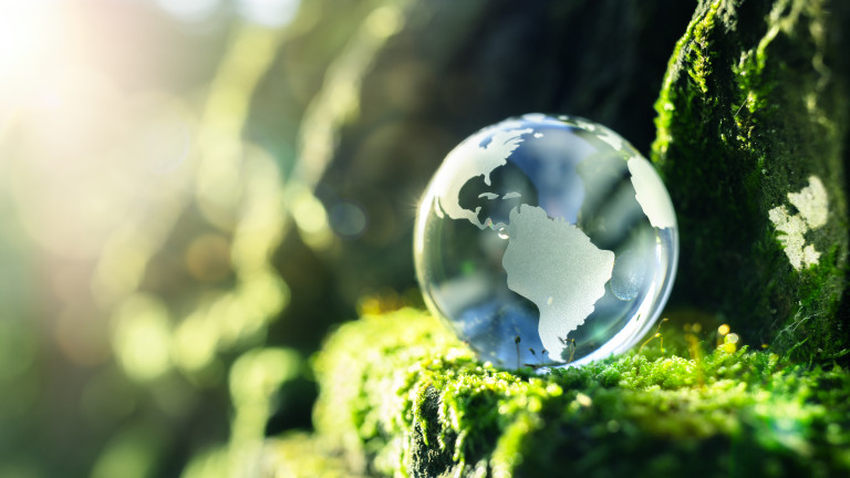 Изображение 502978