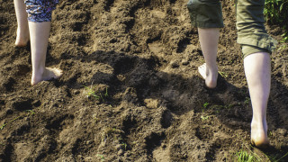 Правителството на Нидерландия обяви в сряда недостиг на вода след