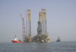 Бели петна в прогнозите за черното злато