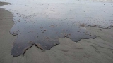  Голям петролен разлив на плаж в Еквадор 