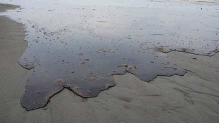 Голям петролен разлив на плаж в Еквадор Разлели са се