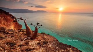 Заглавието на филмовия фестивал който започва скоро в София казва