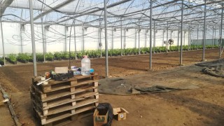 ГДБОП разкри организирана престъпна група занимаваща се с разпространение на