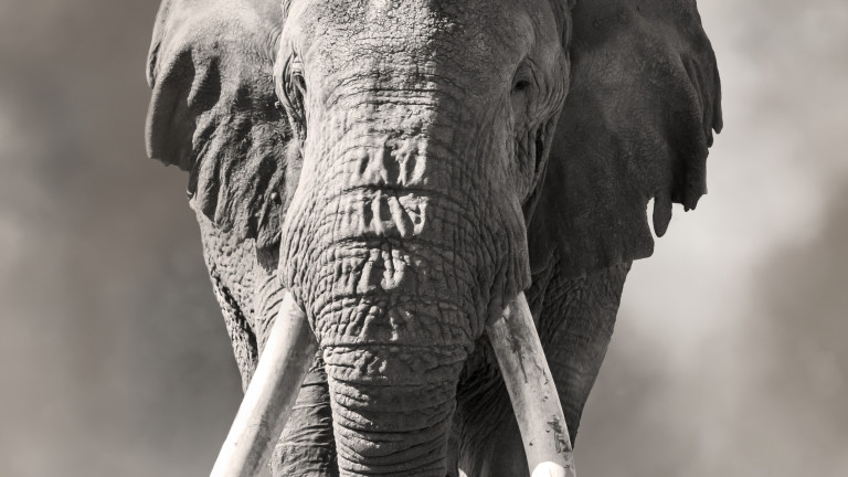 Изображение 465278