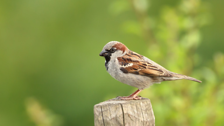 Изображение 615778