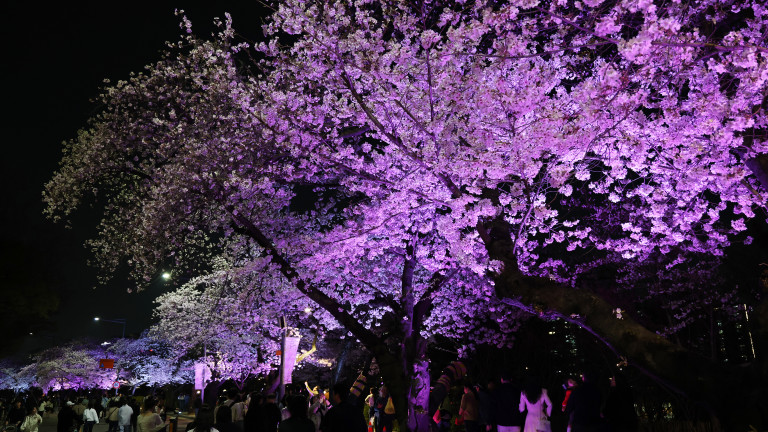 Изображение 756078