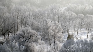 Жълт код за студ в 11 области