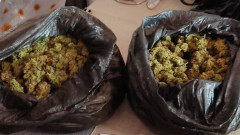 Заловиха дилъри на три вида дрога в Софийско