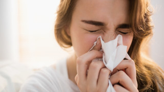 За хората страдащи от алергия към цветен прашец или полени