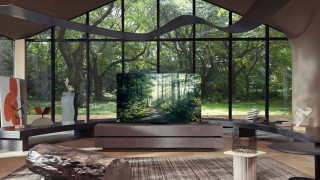 Всички обичаме телевизори но не всеки иска те да заемат