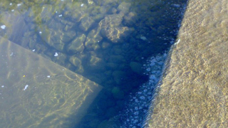Мандра замърсява река край Враца