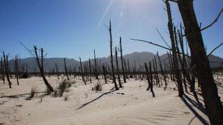 Според ново глобално проучване сред гражданите по целия свят има