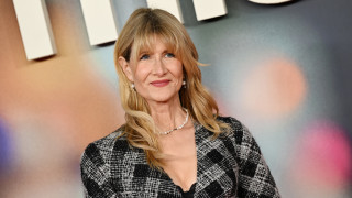 Досиетата &bdquo;Епстийн&ldquo; и като сериал &ndash; ето каква ще е ролята на Лора Дърн