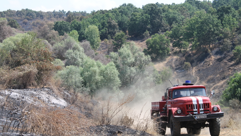 БАН предупреди за огромна опасност от пожари в Югоизточна България