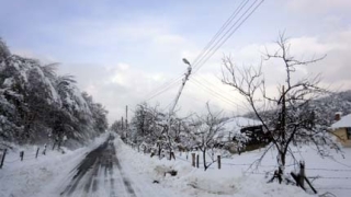 Оранжев код в 12 области, температури до минус 17 градуса