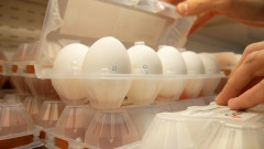 Вносни яйца и пилешко месо се продават като български: Какъв е произходът на храната ни?