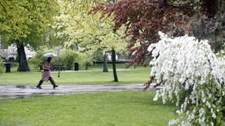 Днес преди обяд облачността над западните райони и Североизточна България