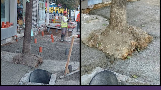 Гражданската организация Спаси София разпространи снимки показващи бетонирането на кореновата