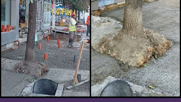 Гражданската организация Спаси София разпространи снимки, показващи бетонирането на кореновата