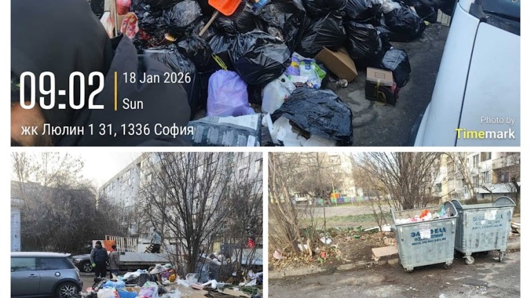 Изображение 748378