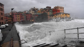 Силен снеговалеж причини проблеми в Западна Европа включително много полети