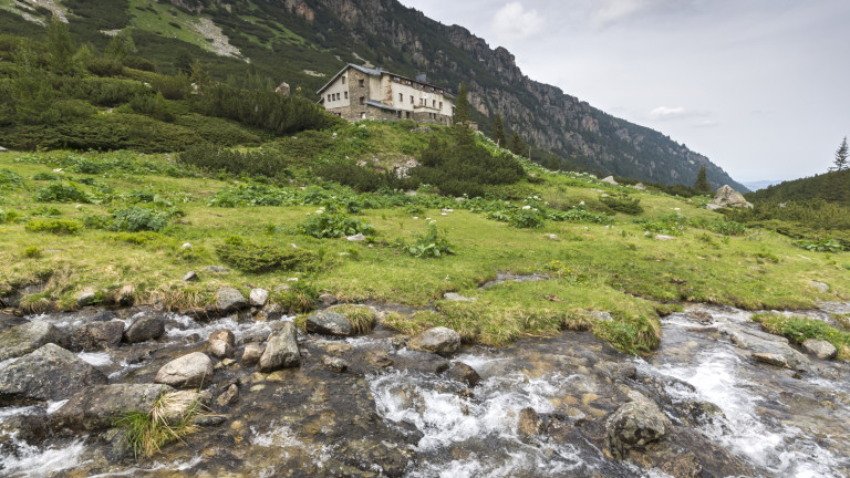 Изображение 738878