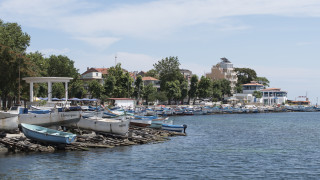 В Поморие разхождането на кучета е само в определени часове