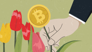 Лалета и биткойни: Една неочаквано добра комбинация