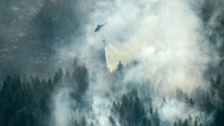 Пожари унищожават горите в Швеция и рискът от разпространяването им