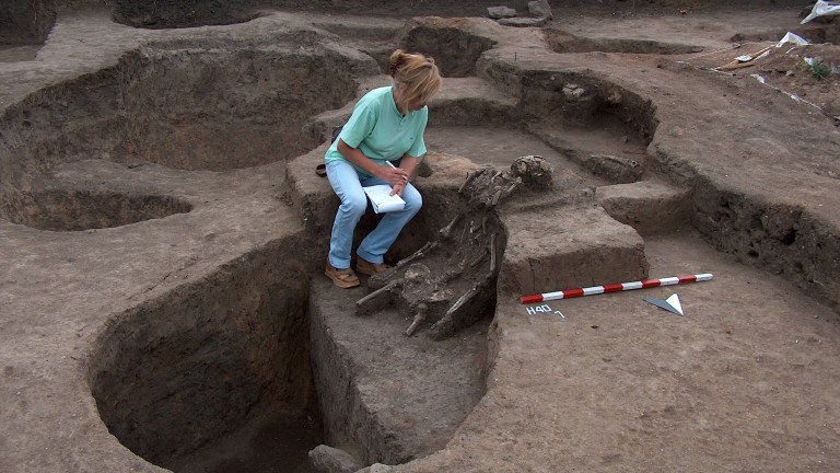 Изображение 539278