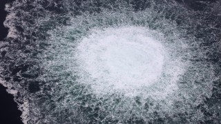 Германската федерална прокуратура е повдигнала обвинения срещу украински гражданин във