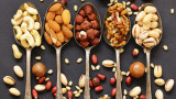 Орехите, бадемите, лешниците, кашуто и начинът, по който да извлечем всичките им полезни свойства