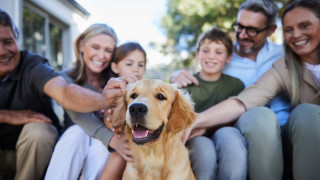 Според доклад на FEDIAF организация която представлява европейската индустрия