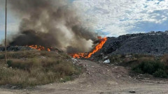 Горя иглолистна гора край благоевградско село