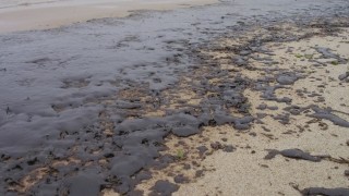 Петна от мазут се появиха на плажа край Варна