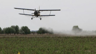 В периода 24 06 28 06 2024 г площи в общините Петрич и Сандански