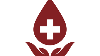 78 от хората са дали съгласие за донорство 22