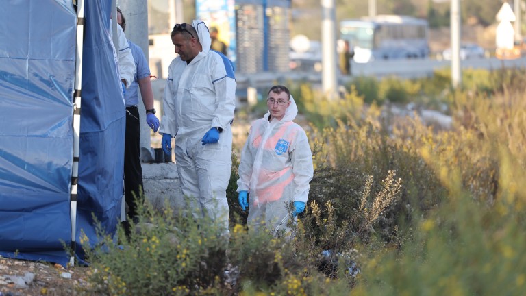 Изображение 741179