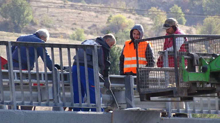 Изображение 451379